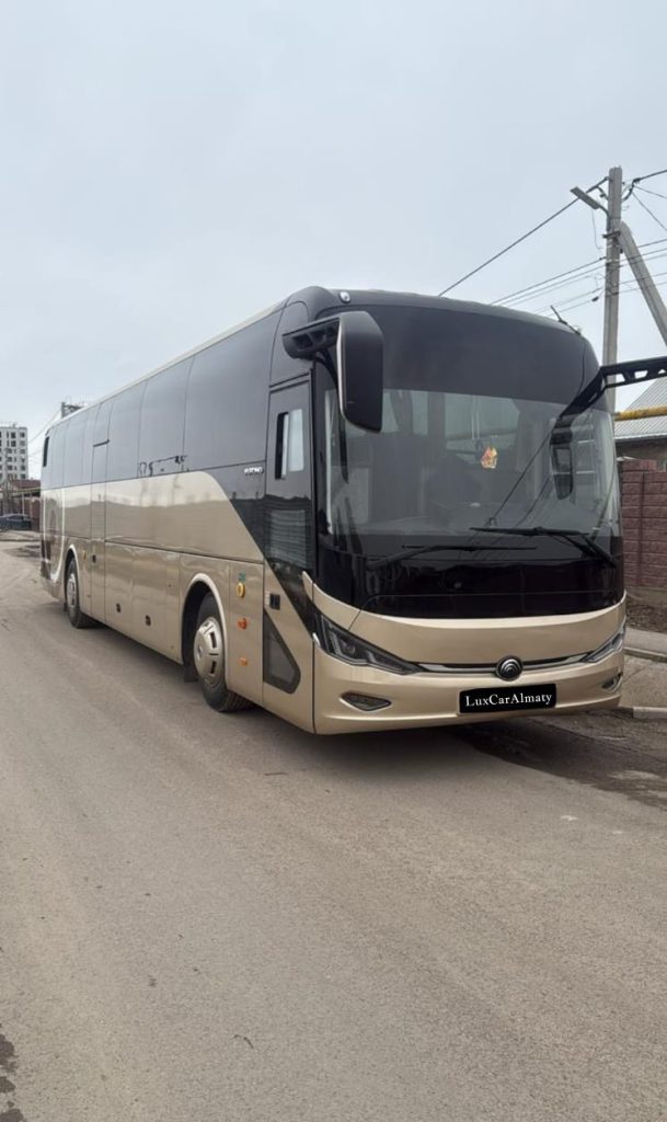 Yutong Premium VIP BUS 2024 (коричневый)
