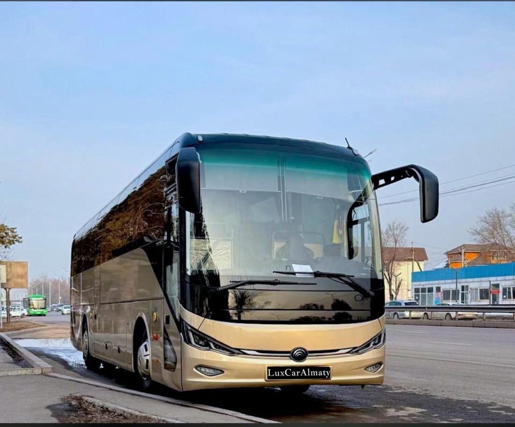 Yutong Premium VIP BUS 2024 (коричневый)